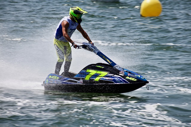 的目光审视 的目光审视