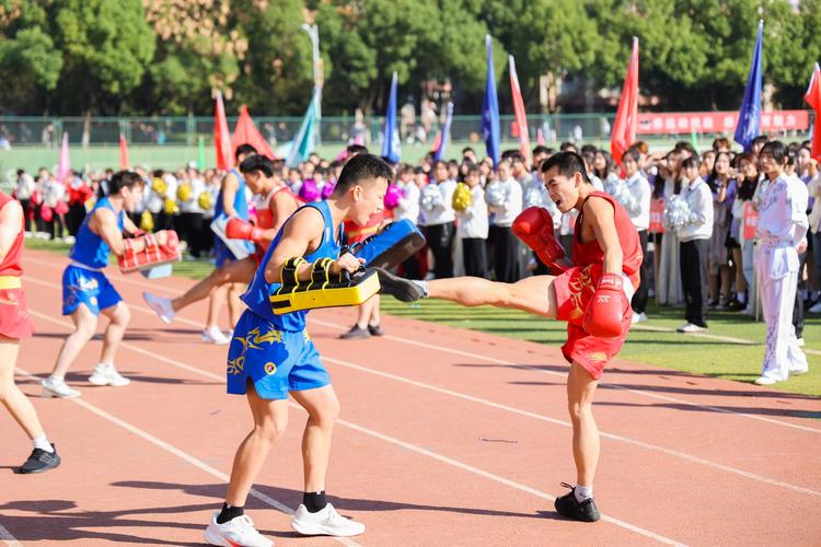 马拉多纳将 马拉多纳将