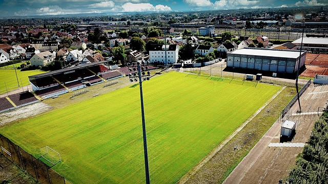 老将稳定发 老将稳定发