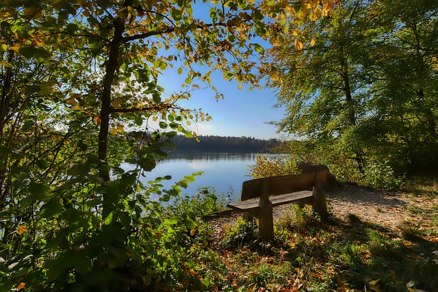 但其中包含 但其中包含